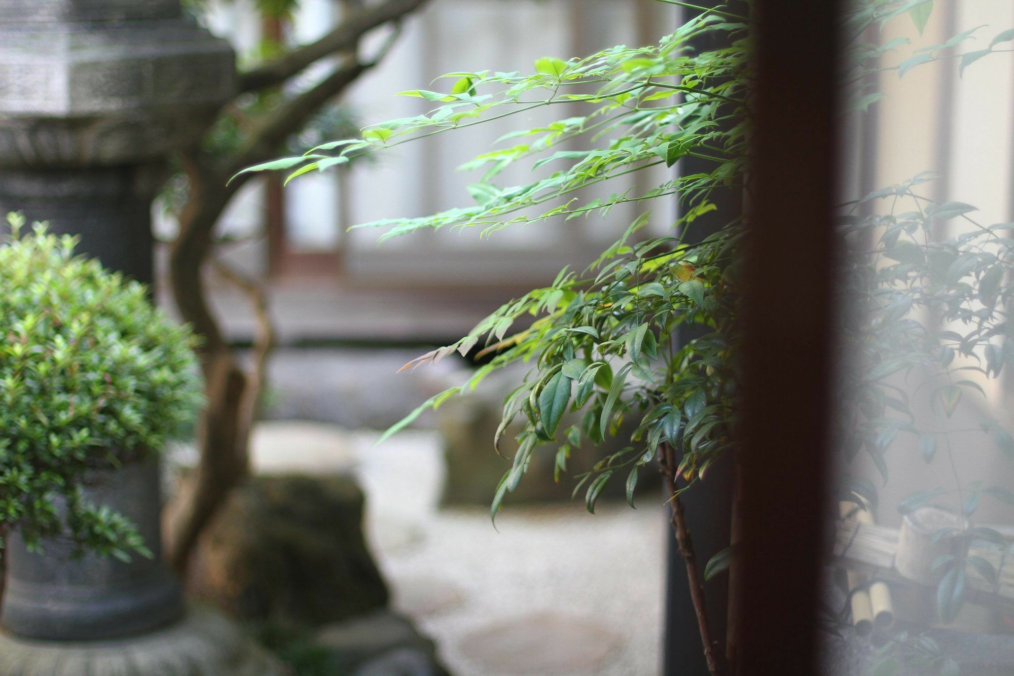 Guesthouse Kyoto Compass Ngoại thất bức ảnh
